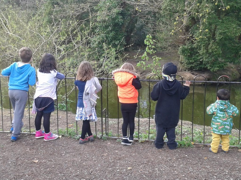 Children feeding the ducks